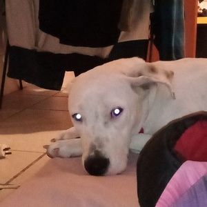 Meet your Posher, Elisabeth